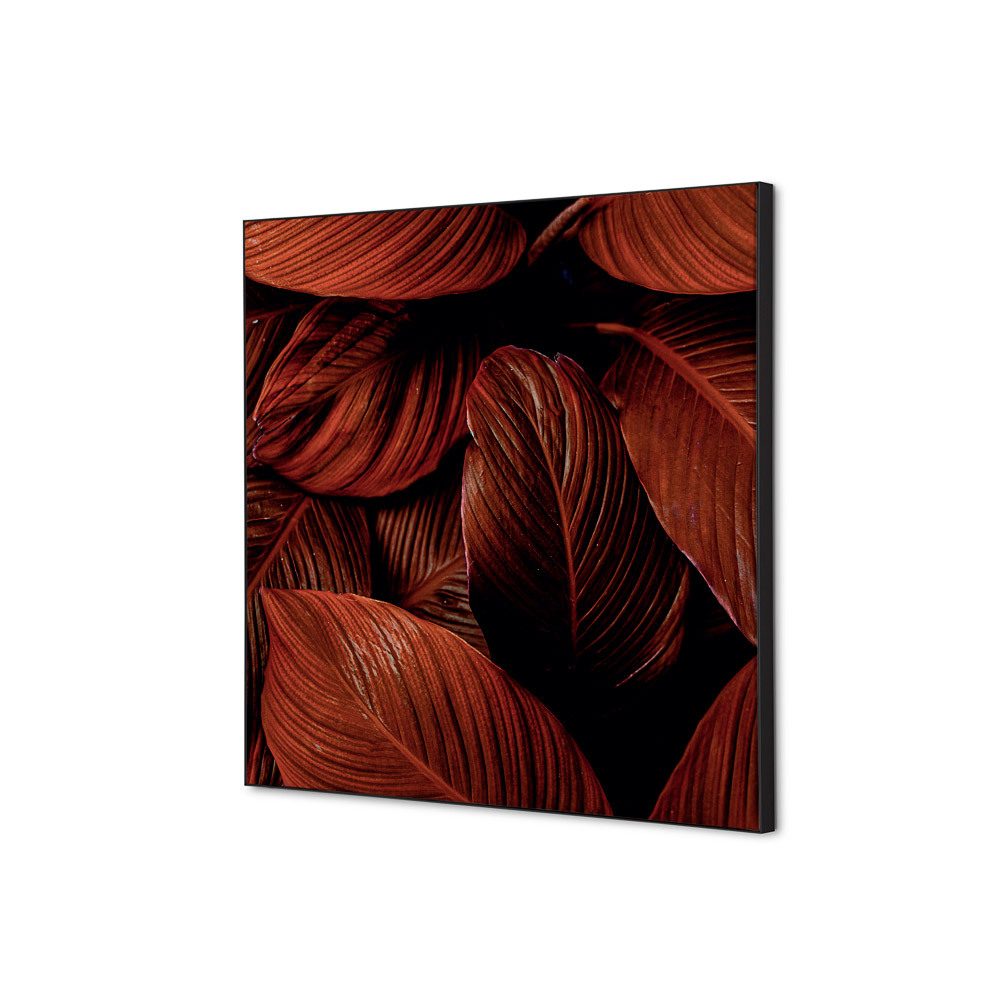 Spannstoff Wanddekoration SET 40 x 40 Motiv „Botanische Blätter“ Rot