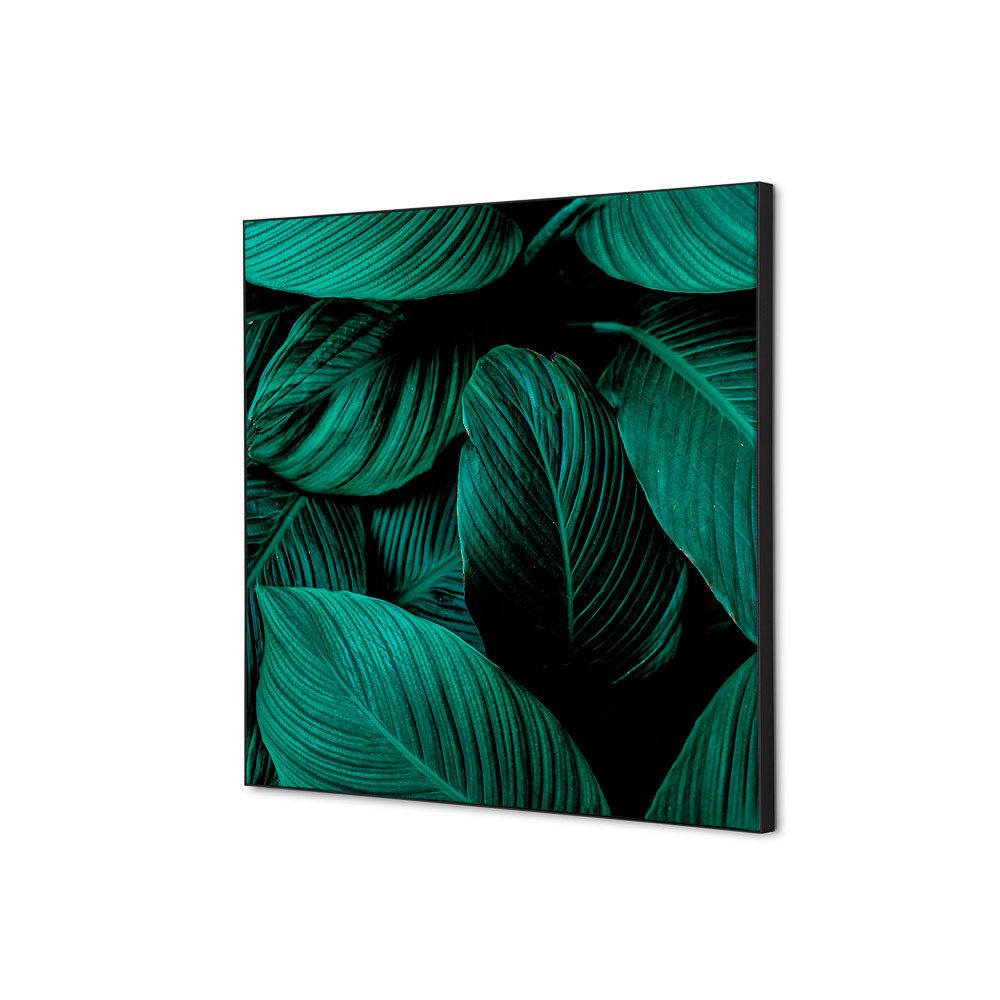 Spannstoff Wanddekoration SET 40 x 40 Motiv „Botanische Blätter“ Grün