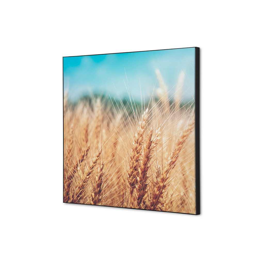 Spannstoff Wanddekoration SET 40 x 40 Motiv „Getreidefeld“