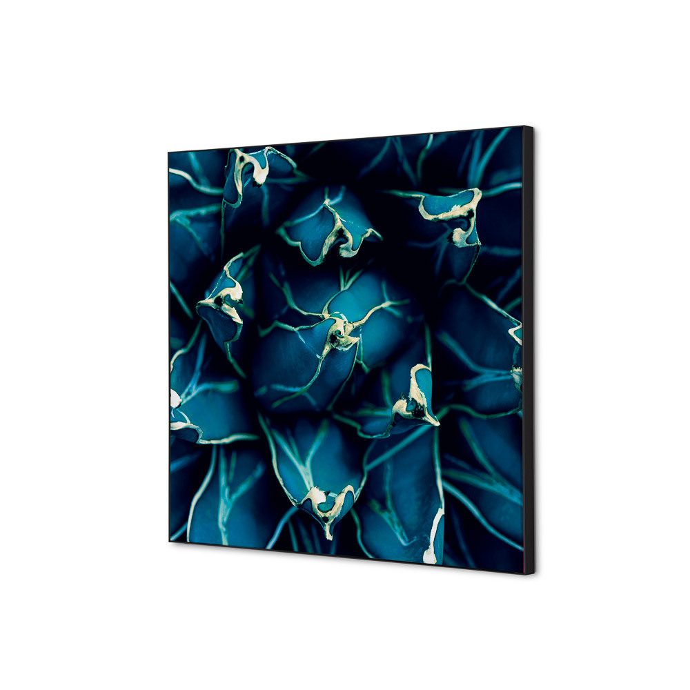 Spannstoff Wanddekoration SET 40 x 40 Motiv „Kaktus“ Blau