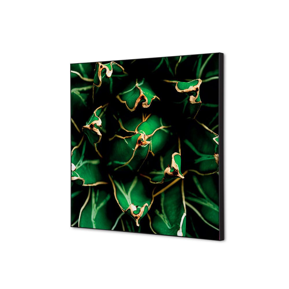 Spannstoff Wanddekoration SET 40 x 40 Motiv „Kaktus“ Grün