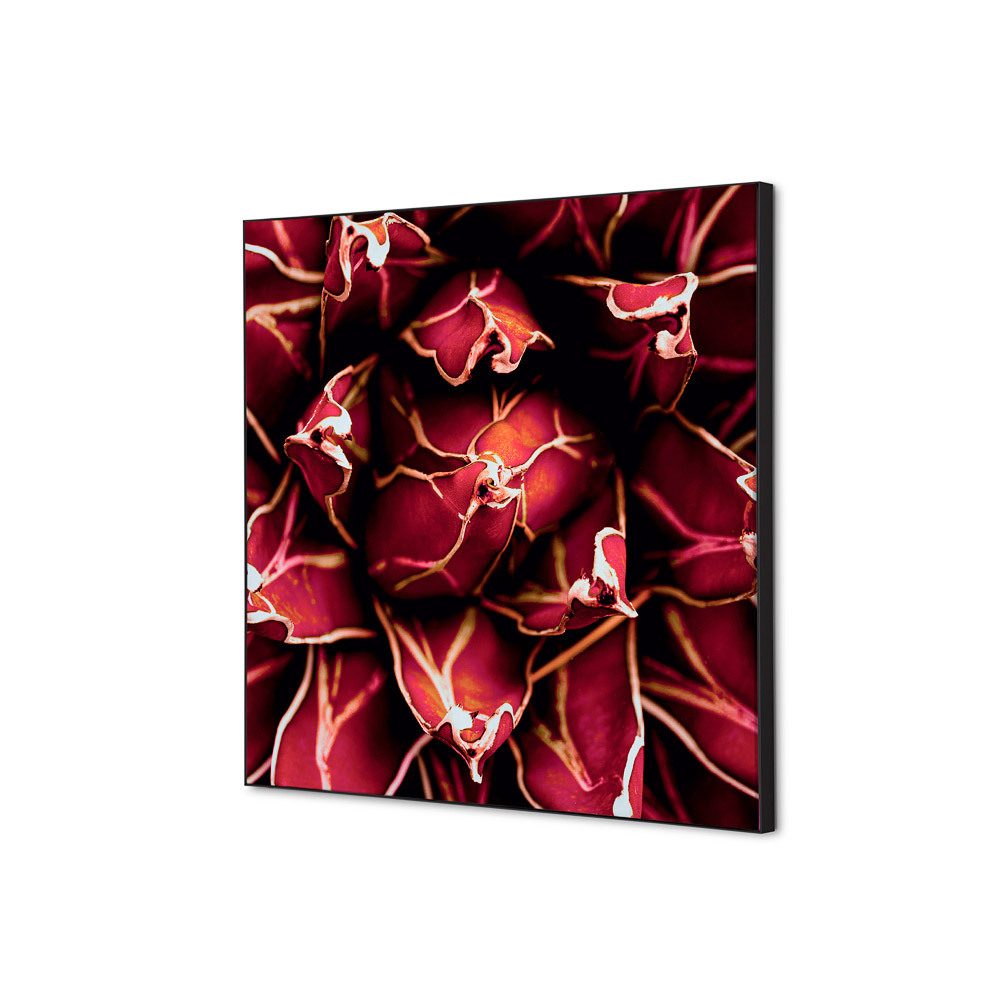 Spannstoff Wanddekoration SET 40 x 40 Motiv „Kaktus“ Rot