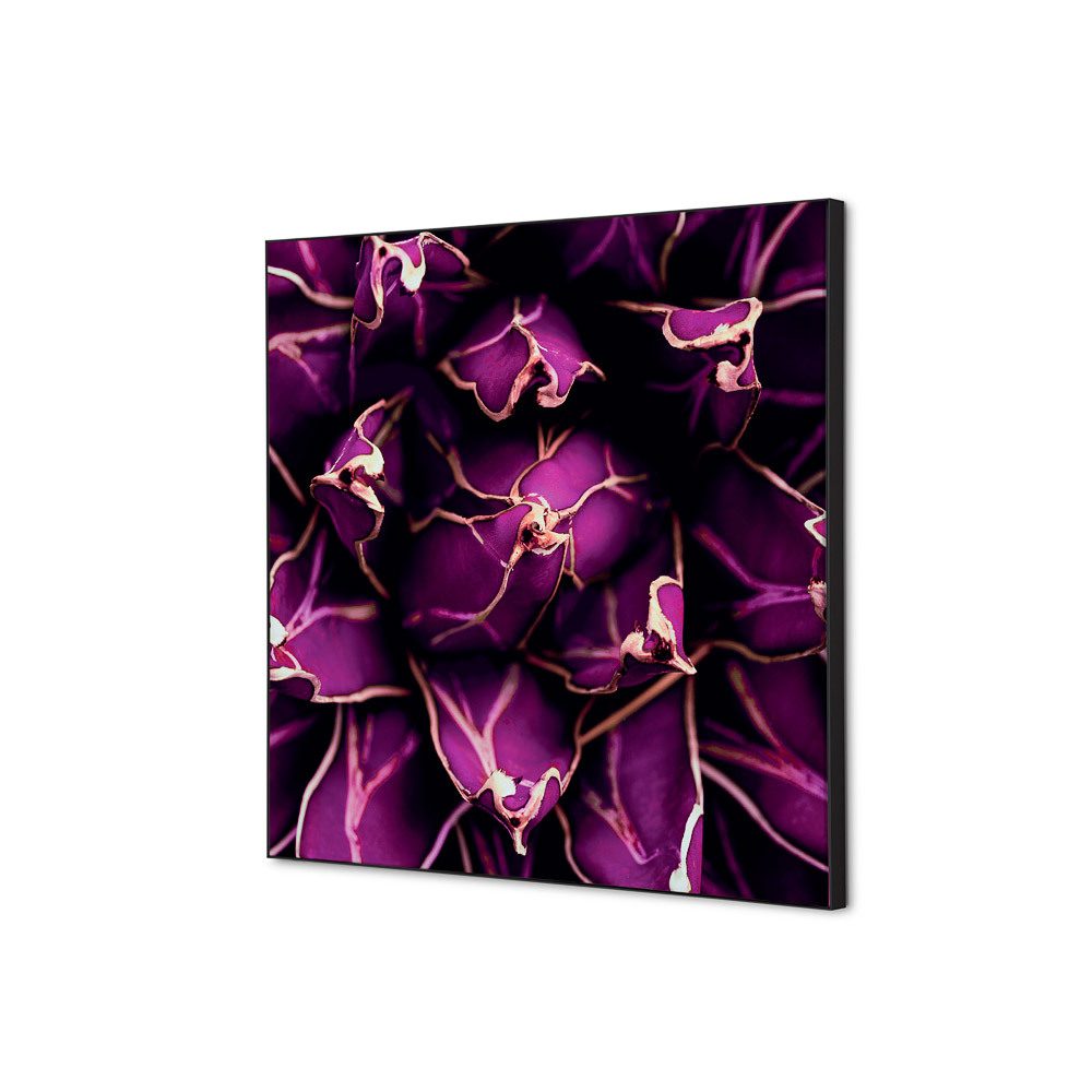 Spannstoff Wanddekoration SET 40 x 40 Motiv „Kaktus“ Lila