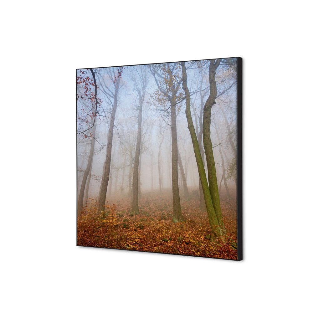 Spannstoff Wanddekoration SET 40 x 40 Motiv „Herbstnebel“