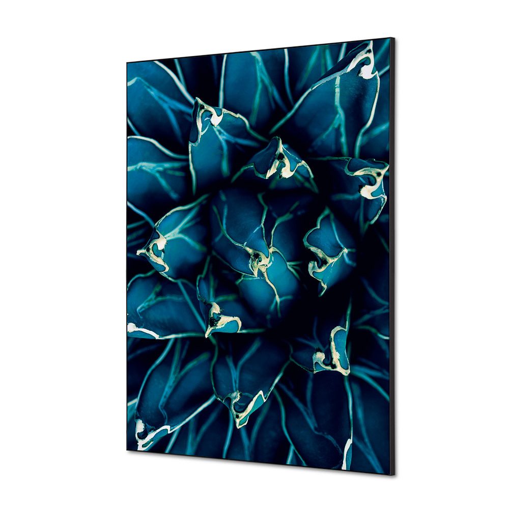 Spannstoff Wanddekoration SET A1 Motiv „Kaktus“ Blau