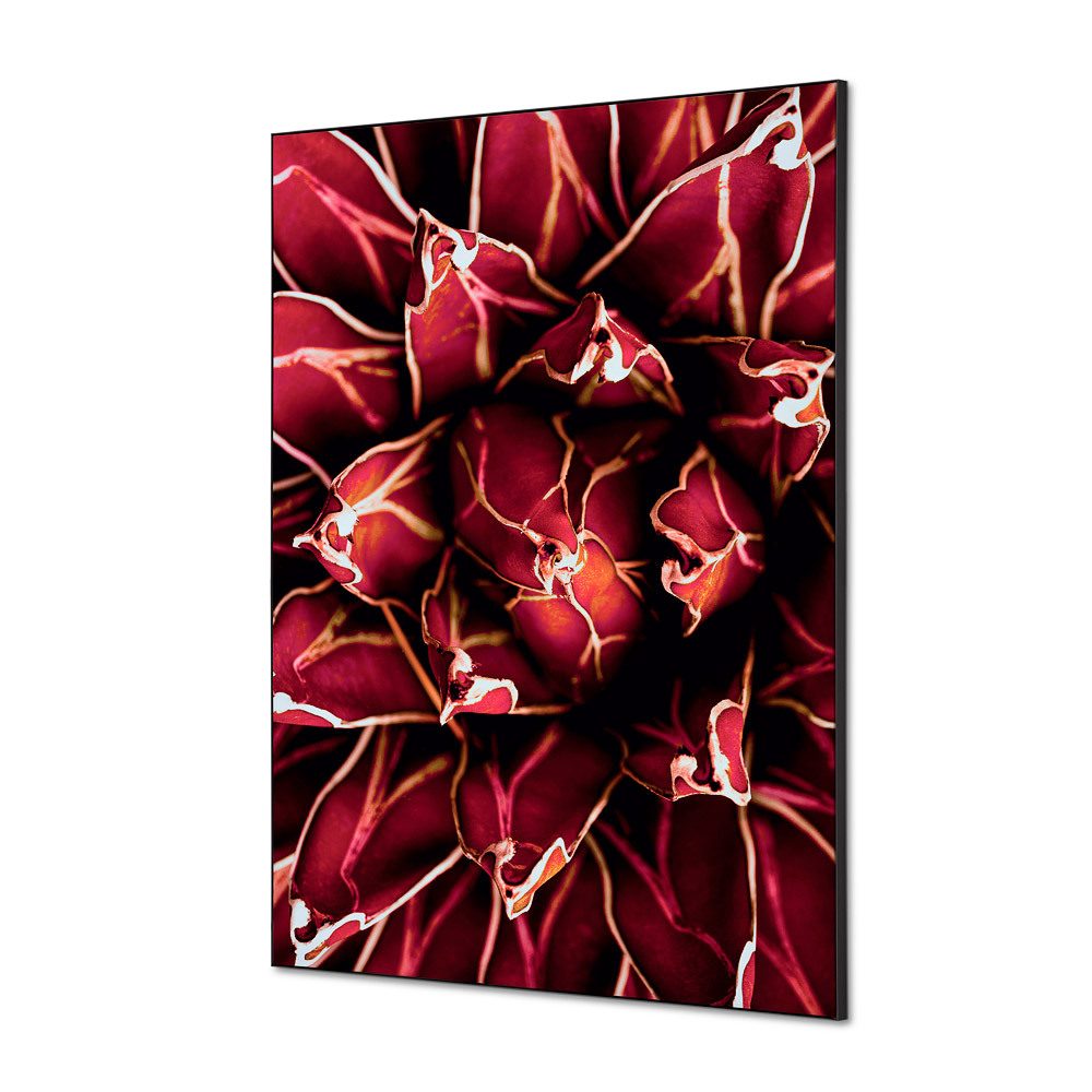 Spannstoff Wanddekoration SET A1 Motiv „Kaktus“ Rot