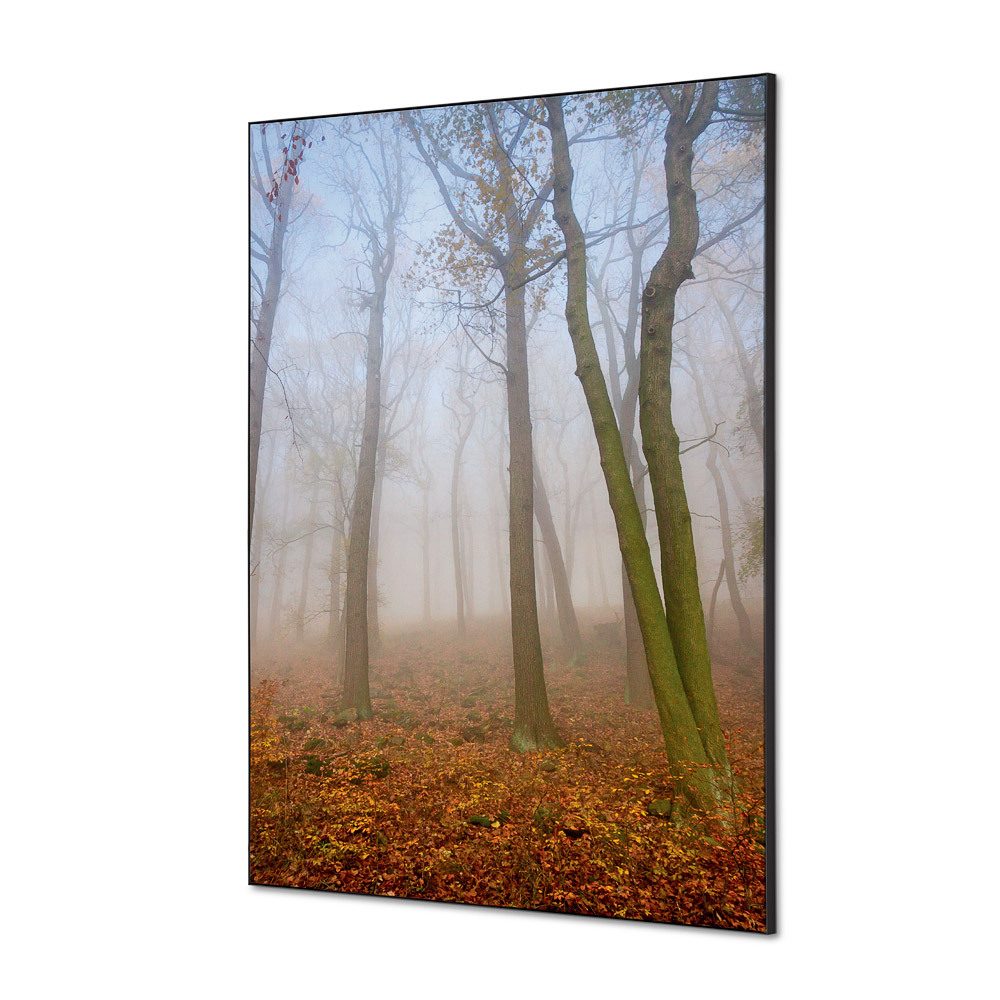 Spannstoff Wanddekoration SET A1 Motiv „Herbstnebel“