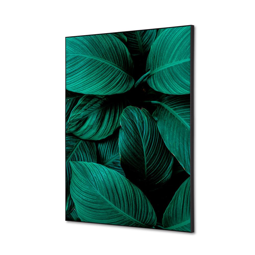 Spannstoff Wanddekoration SET A2 Motiv „Botanische Blätter“ Grün
