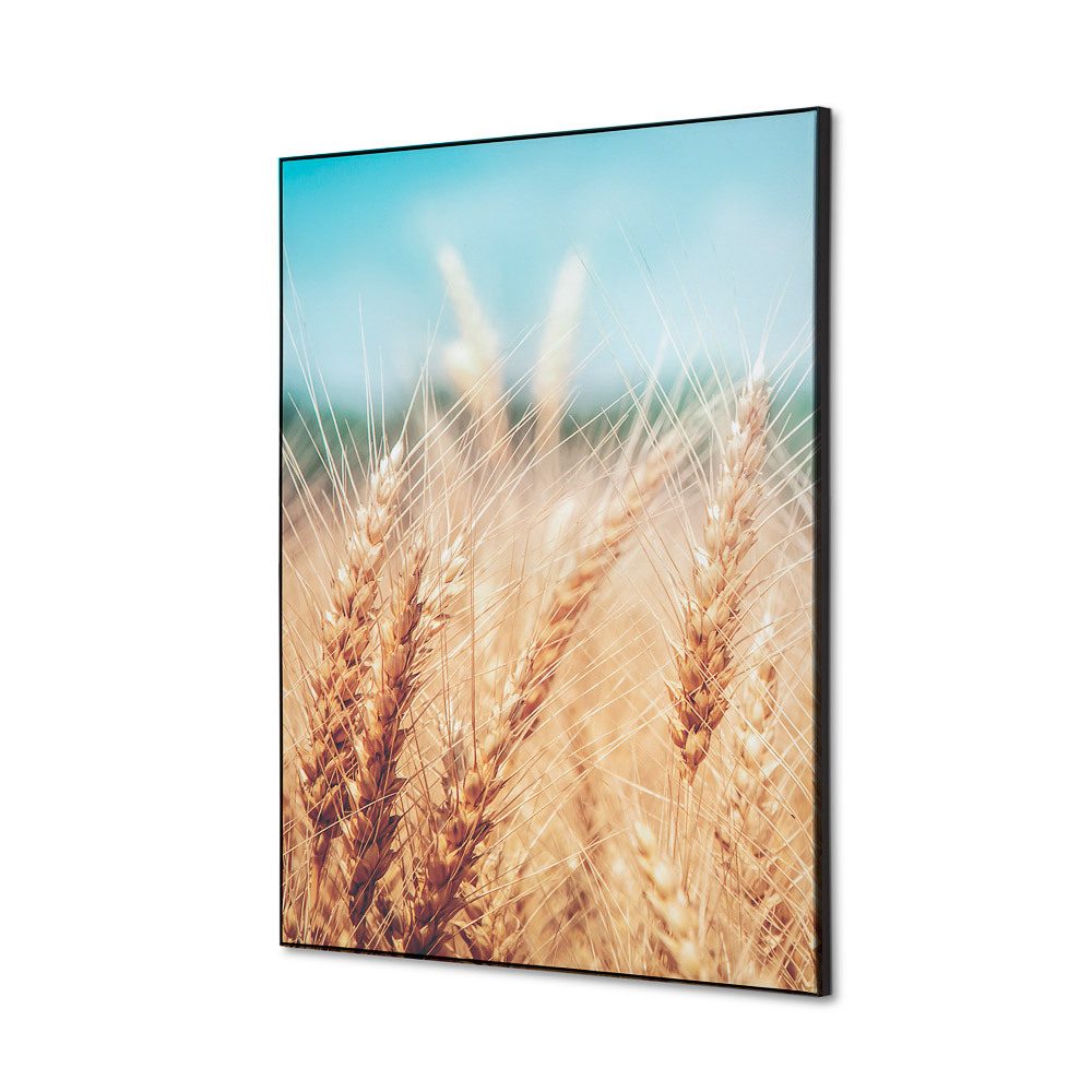 Spannstoff Wanddekoration SET A2 Motiv „Getreidefeld“