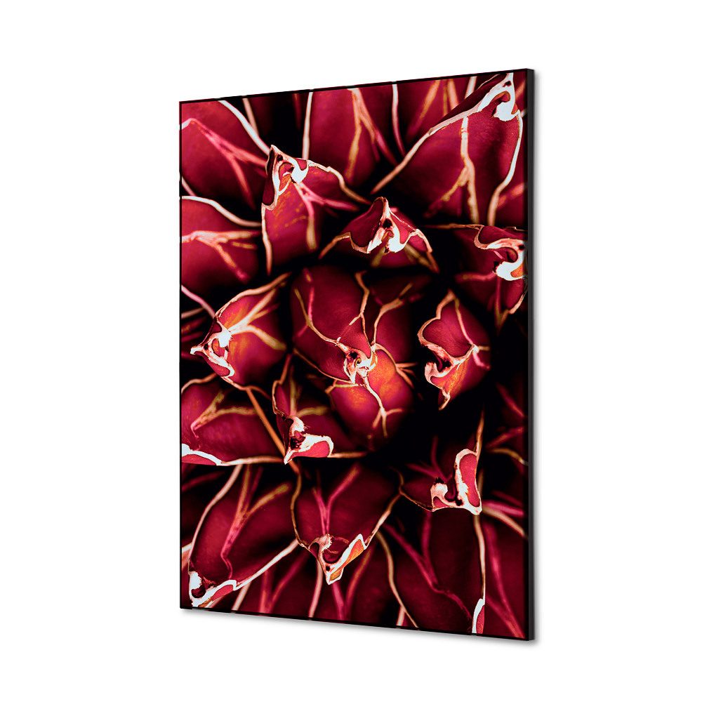 Spannstoff Wanddekoration SET A2 Motiv „Kaktus“ Rot
