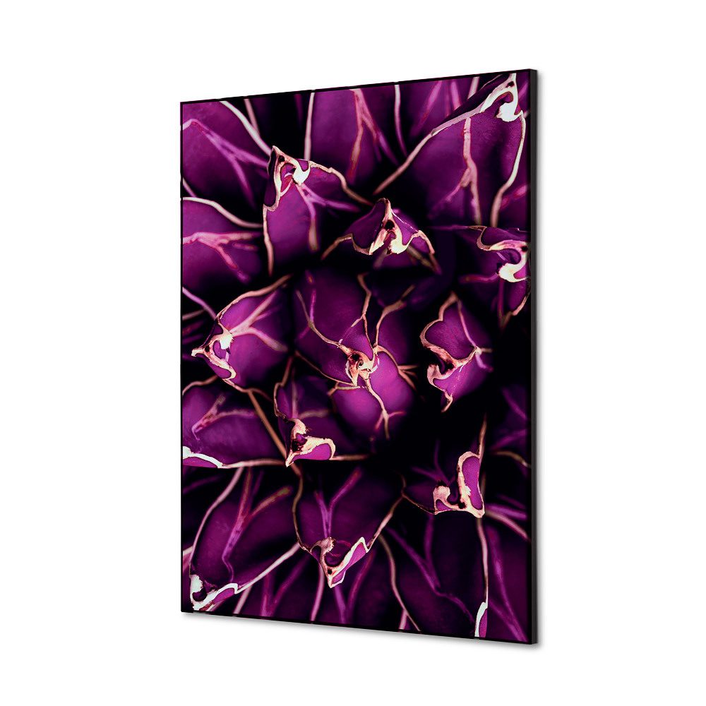 Spannstoff Wanddekoration SET A2 Motiv „Kaktus“ Lila