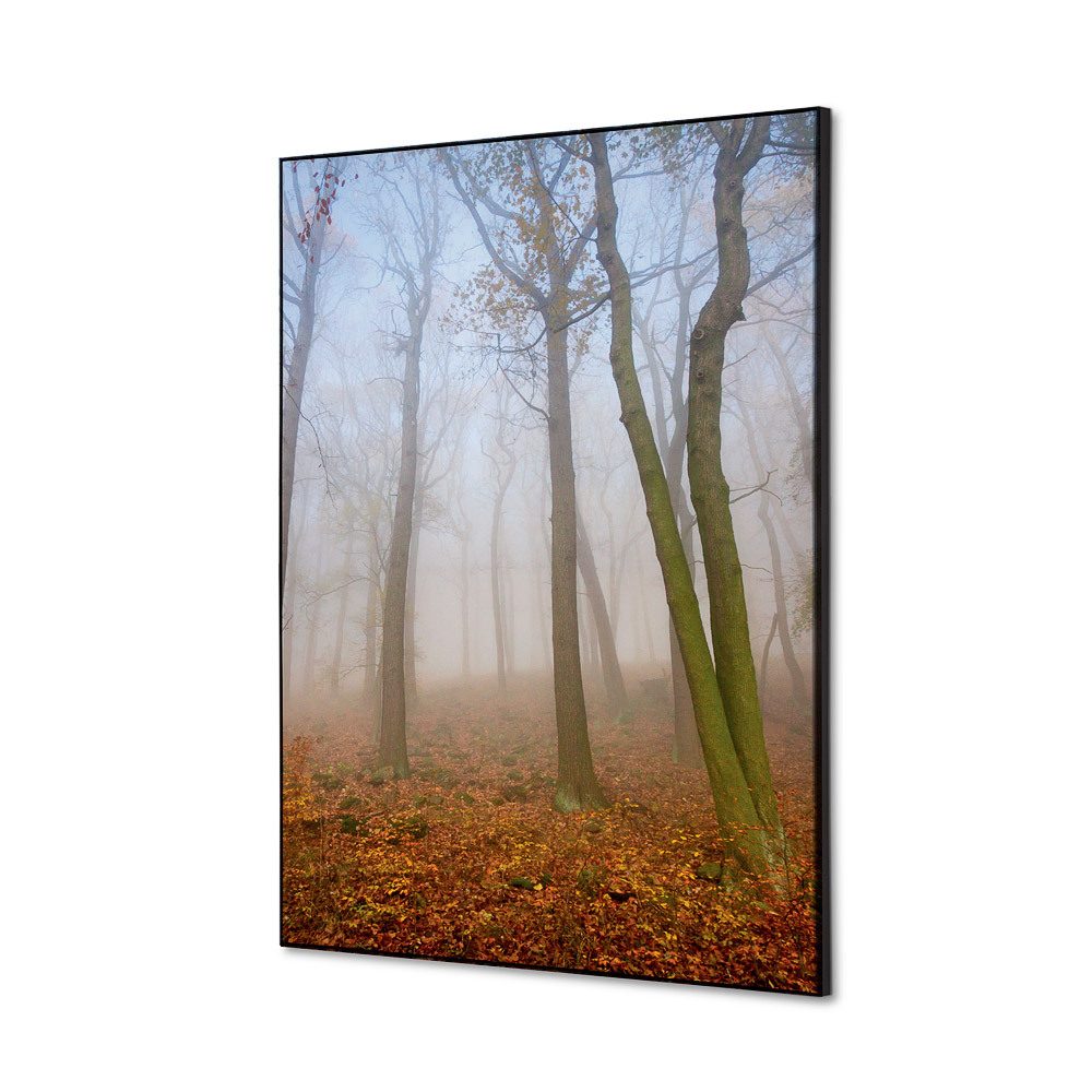 Spannstoff Wanddekoration SET A2 Motiv „Herbstnebel“