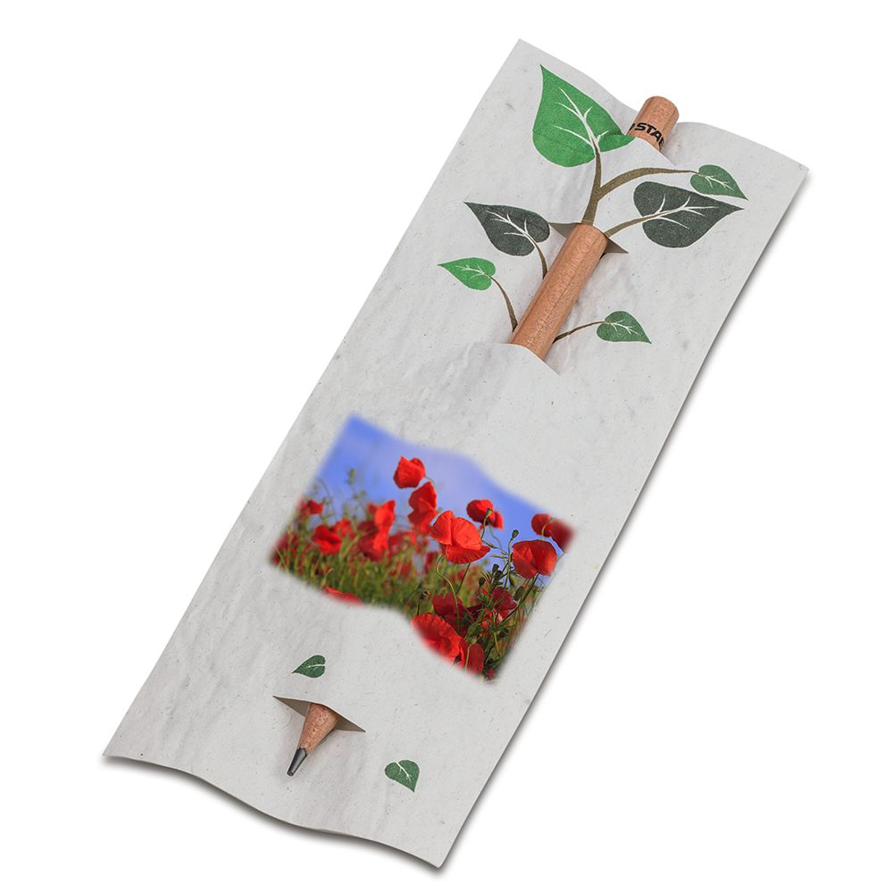 Bleistift im Samenpapieretui, Mohnblume, Druck 4/4c, Lasergravur