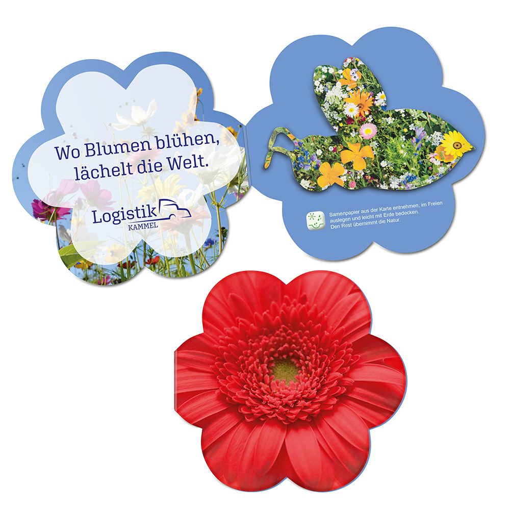 Samenpapier in Klappkärtchen Blume, Bienchen