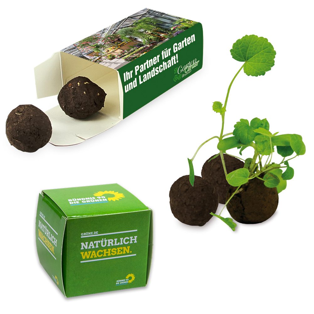 Flower-Balls in der Box mit Samen