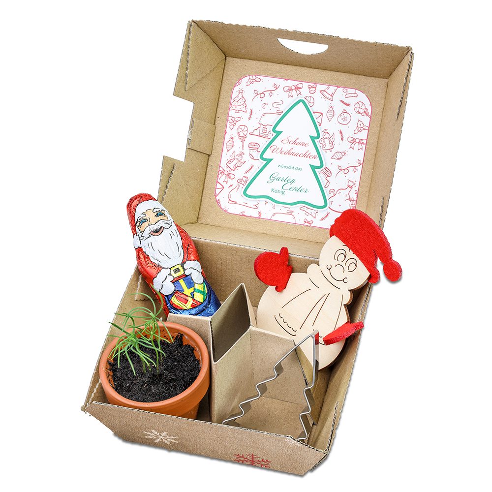 Geschenk-Set Xmas, V4 Tontöpfchen, Schoko-Nikolaus, Backförmchen Tannenbaum und Steckfigur Schneemann aus Holz-Filz