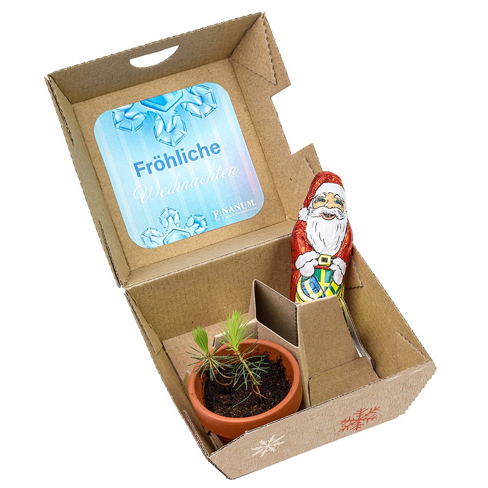 Geschenk-Set Xmas, V1 - Tontöpfchen und Schoko-Nikolaus