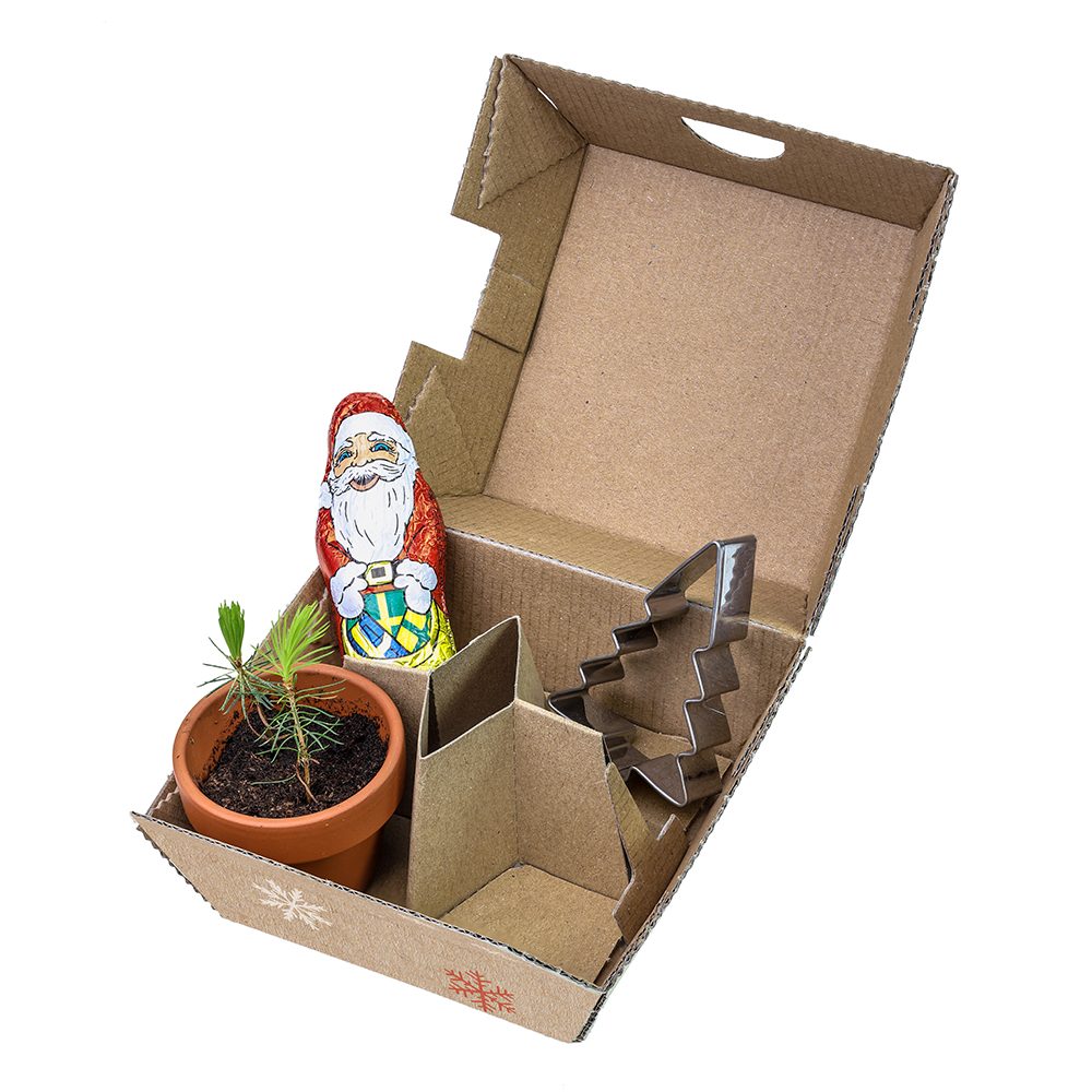 Geschenk-Set Xmas, V2 - Tontöpfchen, Schoko-Nikolaus und Backförmchen Tannenbaum