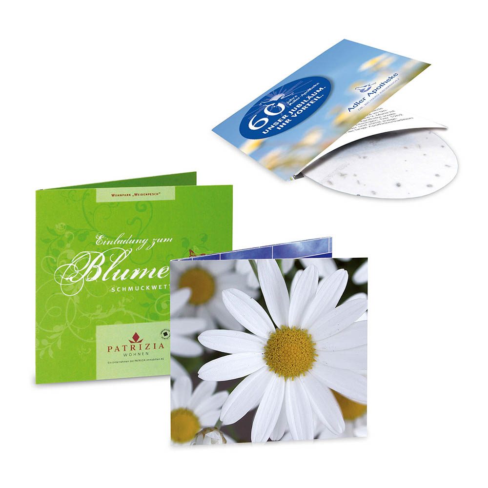 Green-Card mit Samen, Margerite, 4/4-c