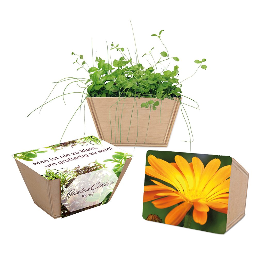 Mini-Beet mit Samen, Ringelblume, Lasergravur