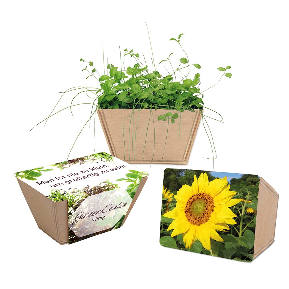 Mini-Beet mit Samen, Sonnenblume, Lasergravur
