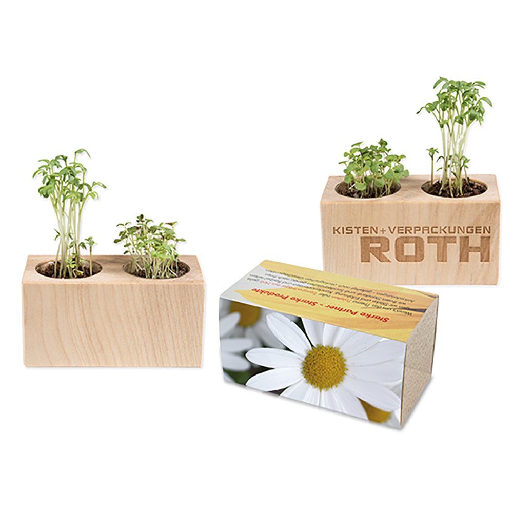 Pflanz-Holz 2er Set mit Samen, Margerite, 2 Seiten gelasert