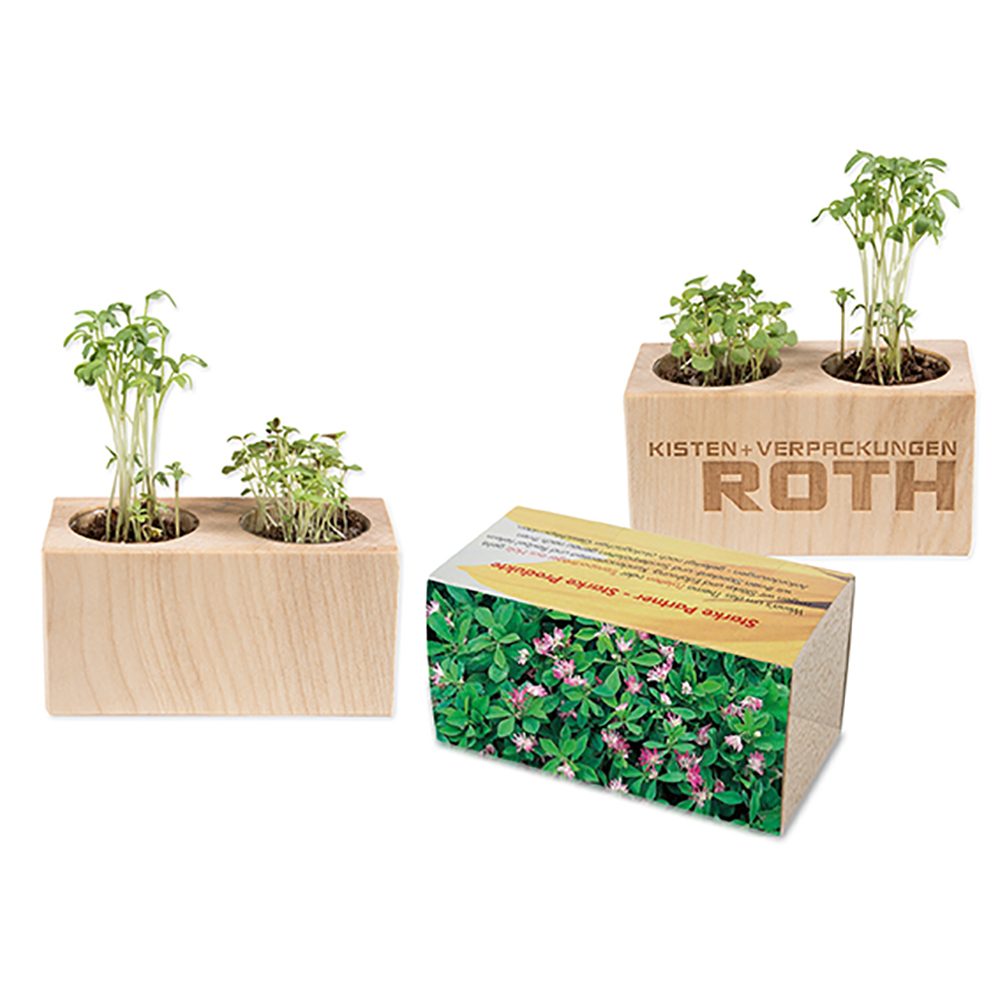 Pflanz-Holz 2er Set mit Samen, Persischer Klee, 1 Seite gelasert