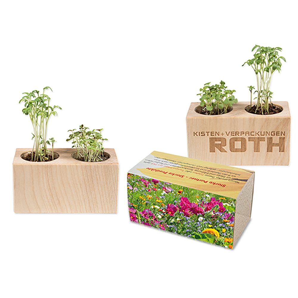 Pflanz-Holz 2er Set mit Samen, Sommerblumenmischung, 2 Seiten gelasert