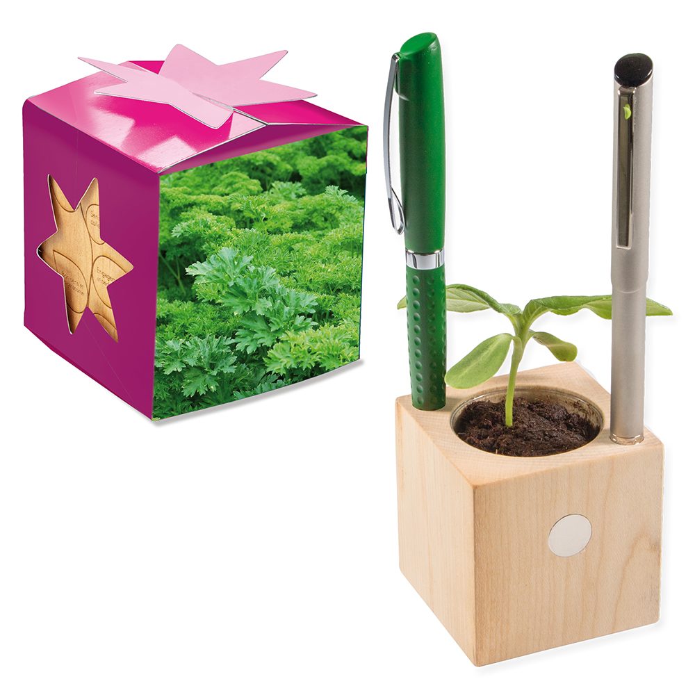 Pflanz-Holz Büro Star-Box mit Samen, Petersilie, 2 Seiten gelasert