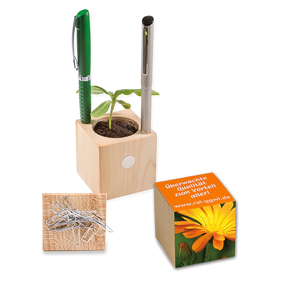 Pflanz-Holz Büro mit Samen, Ringelblume, 1 Seite gelasert