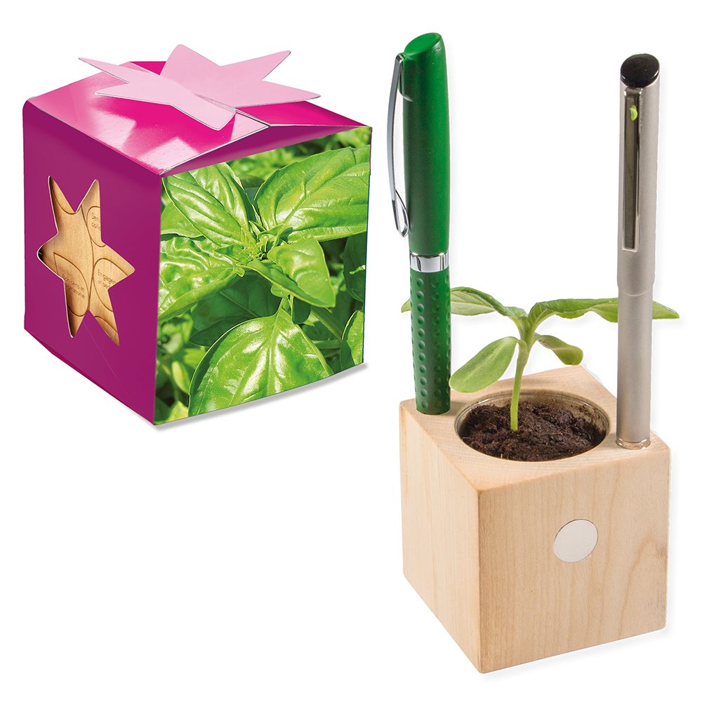 Pflanz-Holz Büro Star-Box mit Samen, Basilikum, 1 Seite gelasert