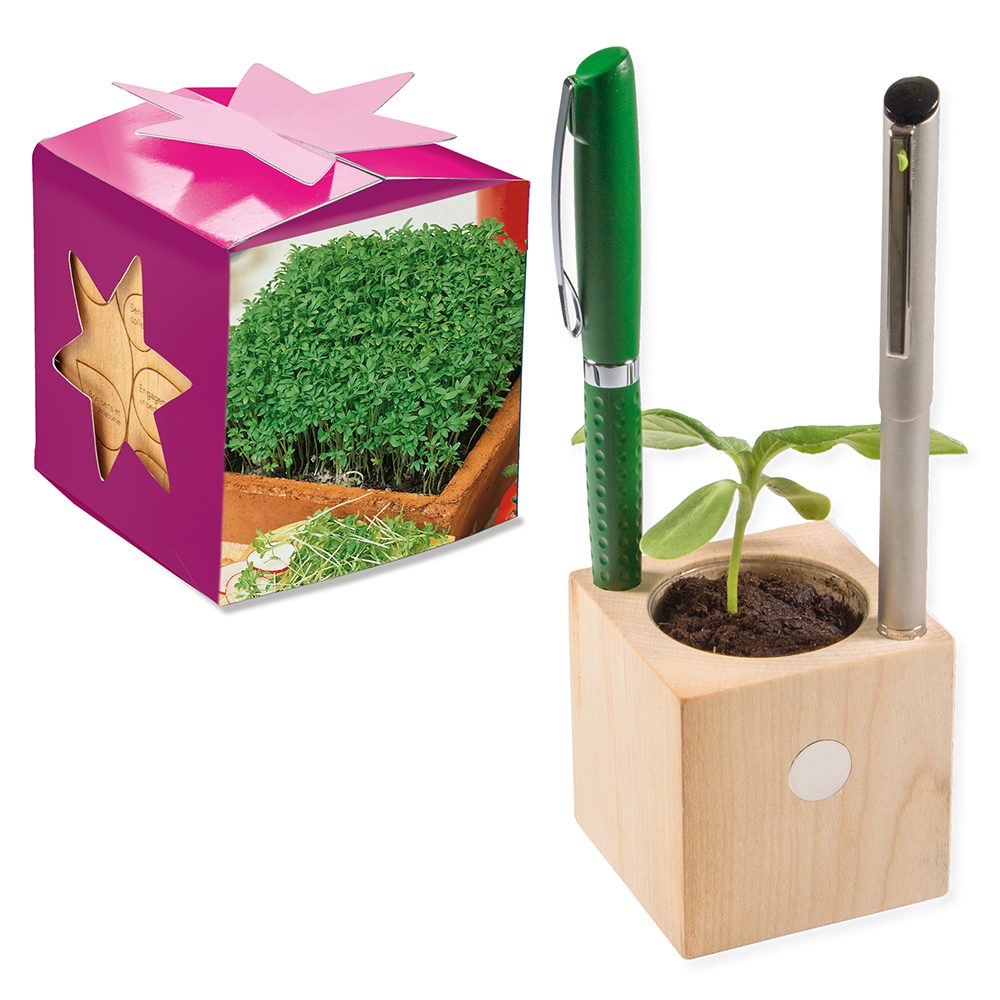 Pflanz-Holz Büro Star-Box mit Samen, Gartenkresse, 1 Seite gelasert