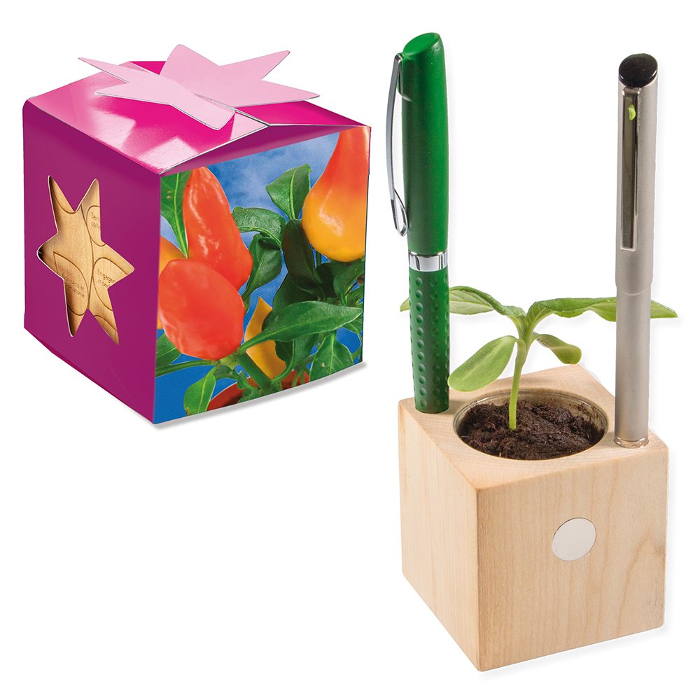 Pflanz-Holz Büro Star-Box mit Samen, Gewürzpaprika, 1 Seite gelasert