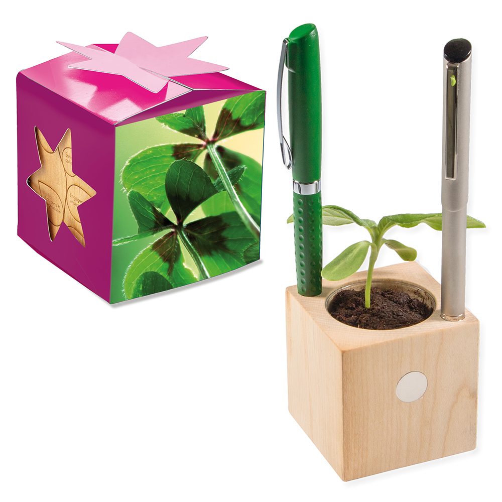 Pflanz-Holz Büro Star-Box mit Samen, Glücksklee-Zwiebel, 1 Seite gelasert (* Je nach Verfügbarkeit der Glücksklee-Zwiebeln)