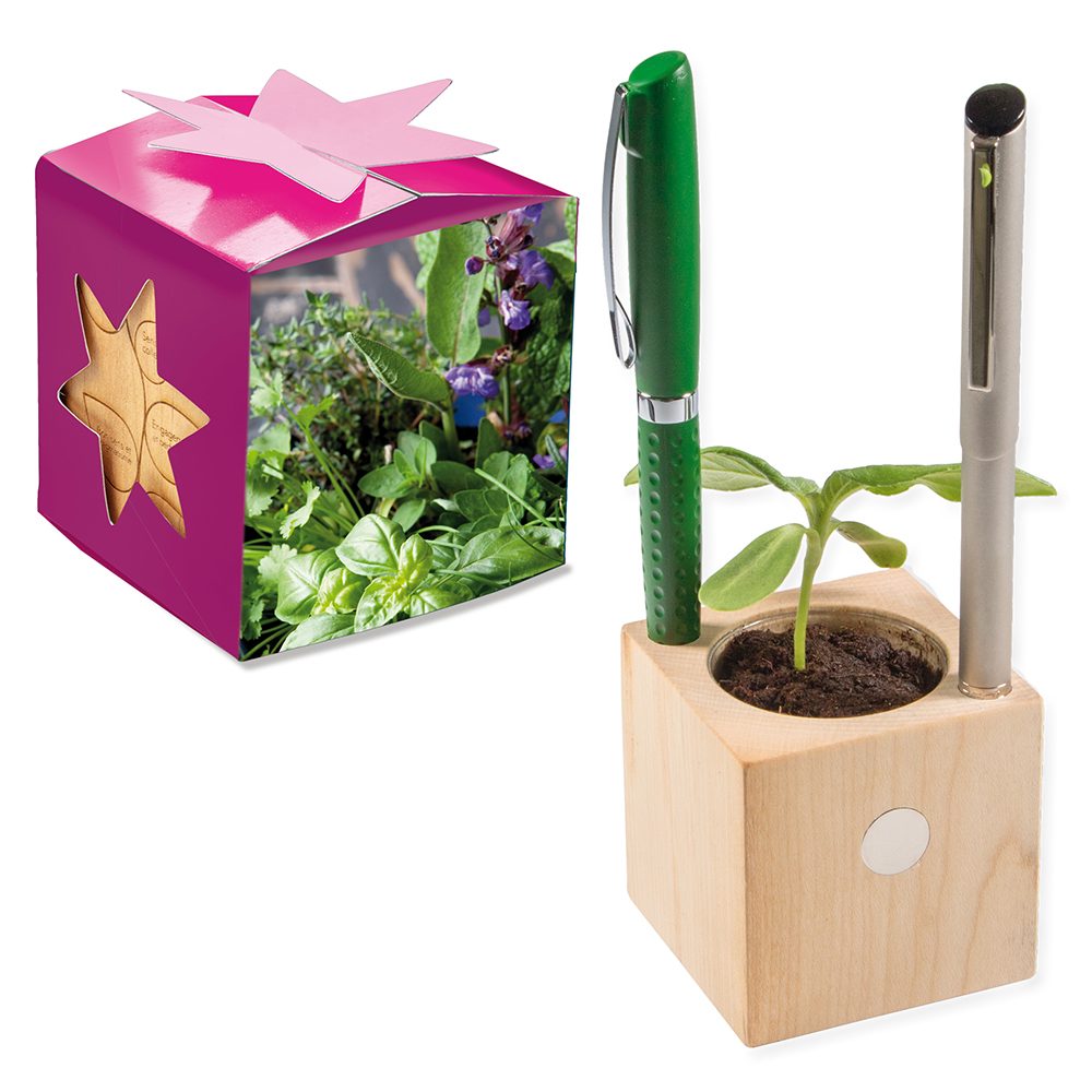 Pflanz-Holz Büro Star-Box mit Samen, Kräutermischung, 1 Seite gelasert
