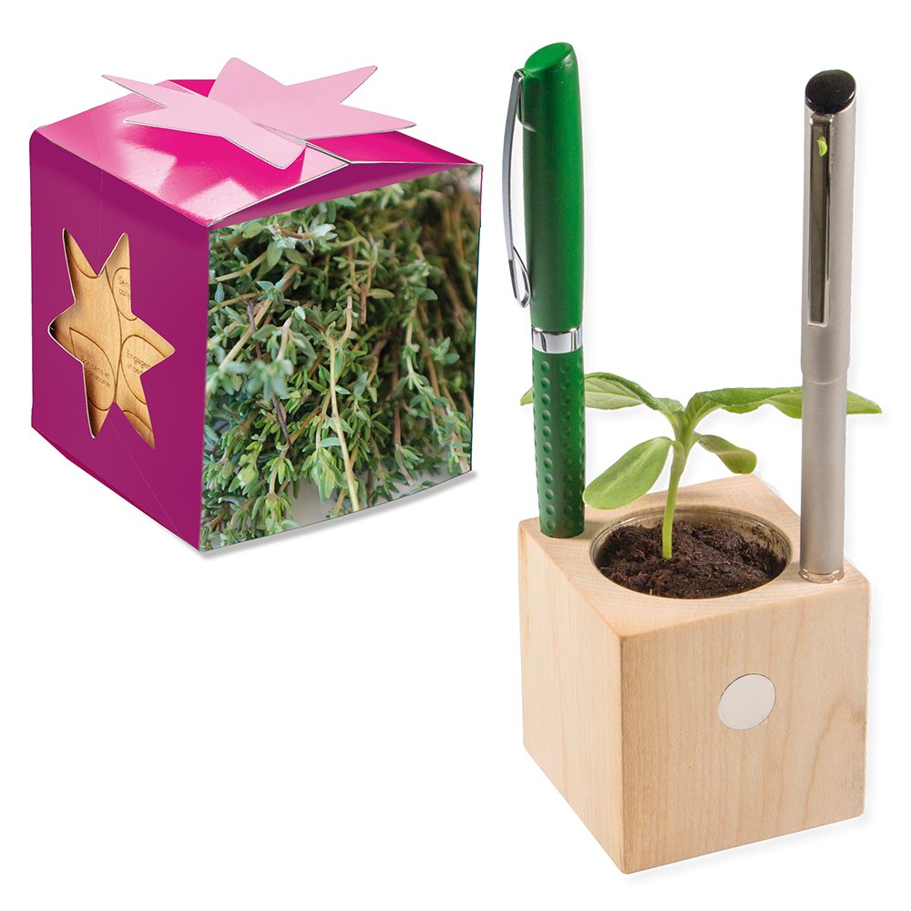 Pflanz-Holz Büro Star-Box mit Samen, Thymian, 1 Seite gelasert