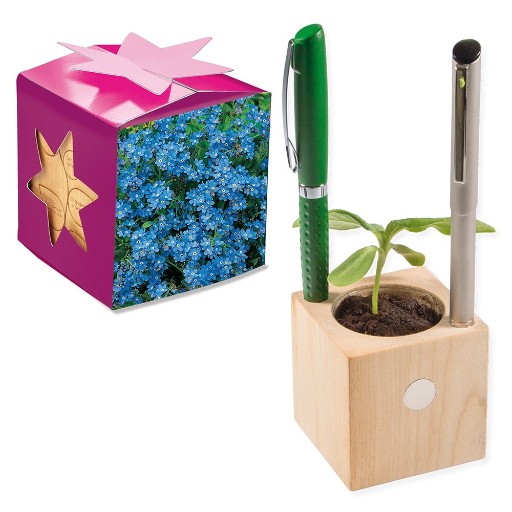 Pflanz-Holz Büro Star-Box mit Samen, Vergissmeinnicht, 2 Seiten gelasert