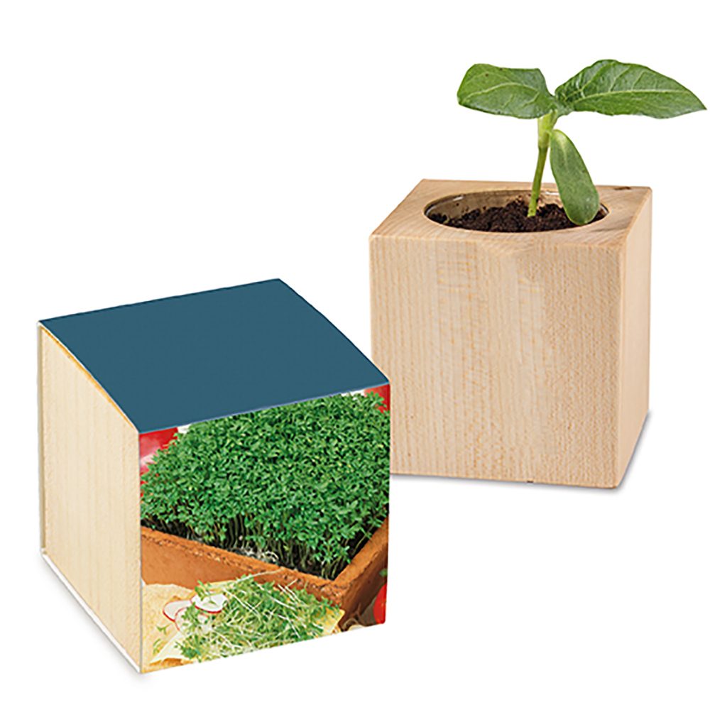 Pflanz-Holz mit Samen, Gartenkresse, 2 Seiten gelasert