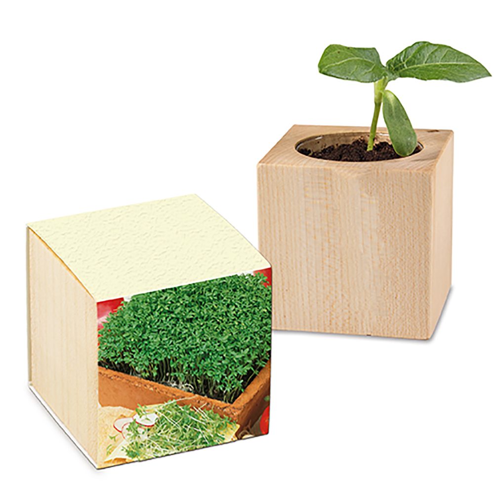 Pflanz-Holz mit Samen (Graspapier-Banderole), Gartenkresse, 1 Seite gelasert