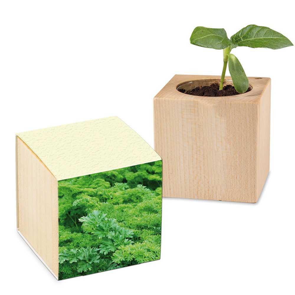 Pflanz-Holz mit Samen (Graspapier-Banderole), Petersilie, 2 Seiten gelasert