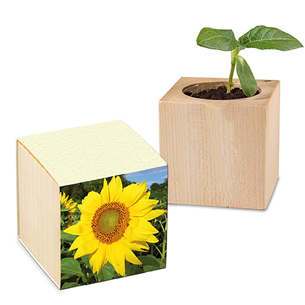 Pflanz-Holz mit Samen (Graspapier-Banderole), Sonnenblume, 1 Seite gelasert