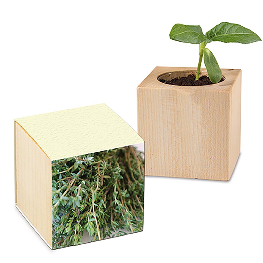 Pflanz-Holz mit Samen (Graspapier-Banderole), Thymian, 1 Seite gelasert