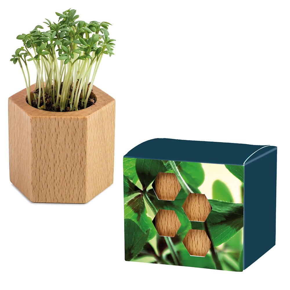 Pflanz-Holz Hexagon mit Samen, Glücksklee-Zwiebel, 1 Seite gelasert (* Je nach Verfügbarkeit der Glücksklee-Zwiebeln)