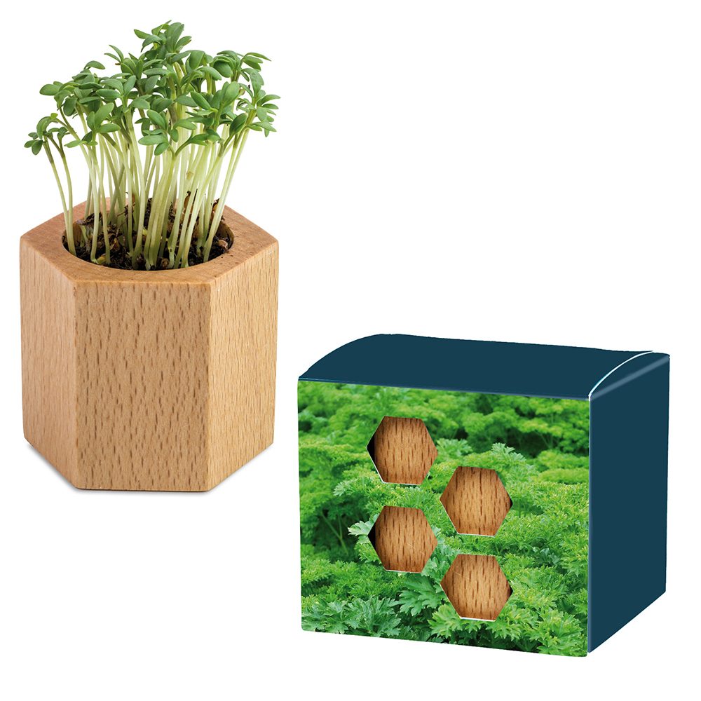 Pflanz-Holz Hexagon mit Samen, Petersilie