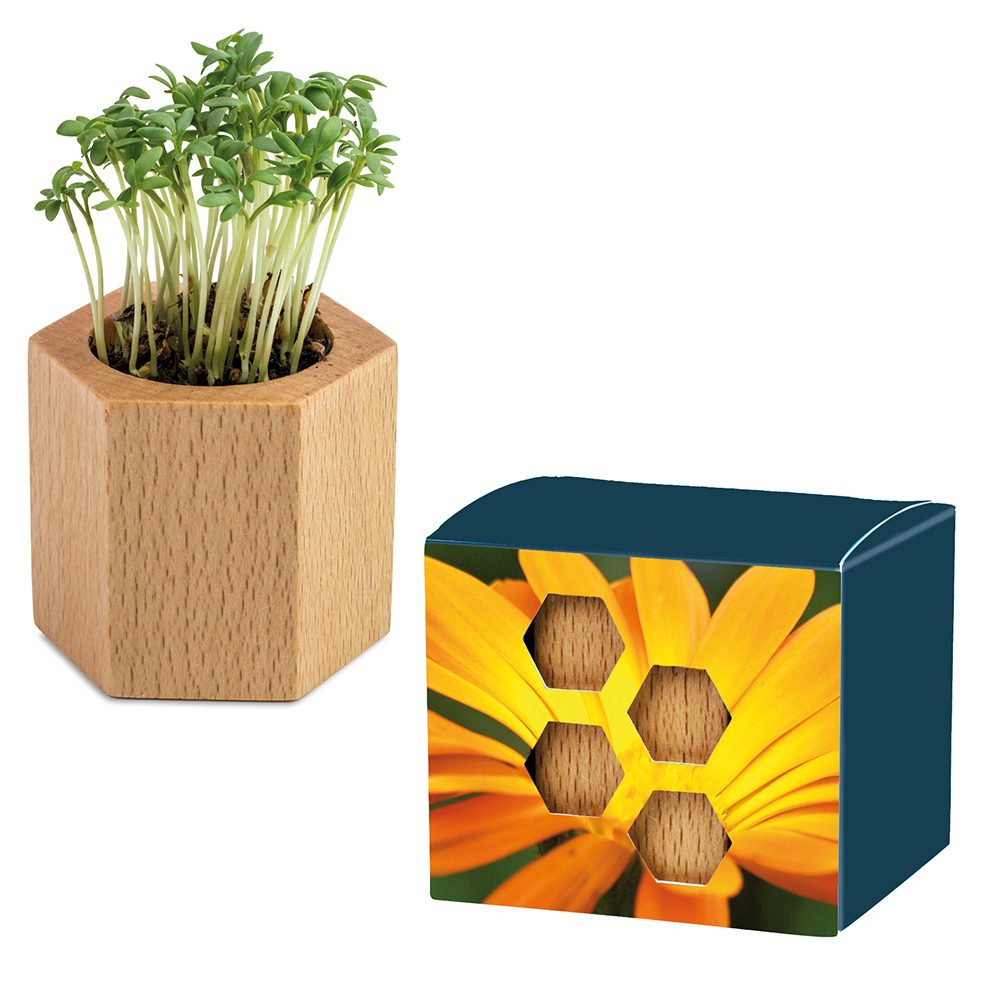 Pflanz-Holz Hexagon mit Samen, Ringelblume, 1 Seite gelasert