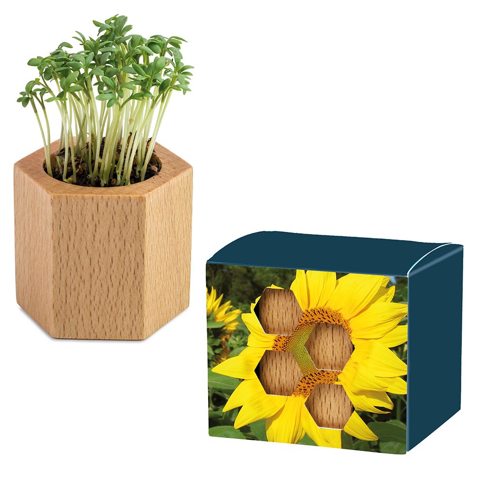 Pflanz-Holz Hexagon mit Samen, Sonnenblume, 1 Seite gelasert