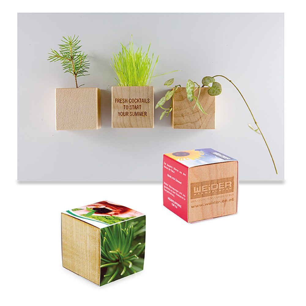 Pflanz-Holz Magnet mit Samen, Fichte