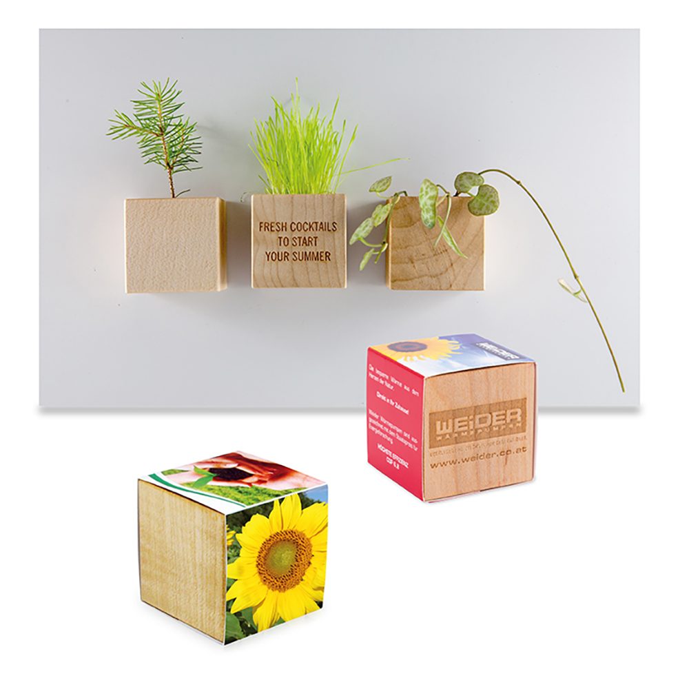 Pflanz-Holz Magnet mit Samen, Sonnenblume, 2 Seiten gelasert