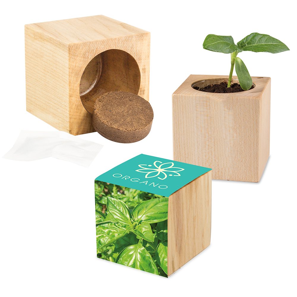 Pflanz-Holz Maxi mit Samen, Basilikum, 2 Seiten gelasert