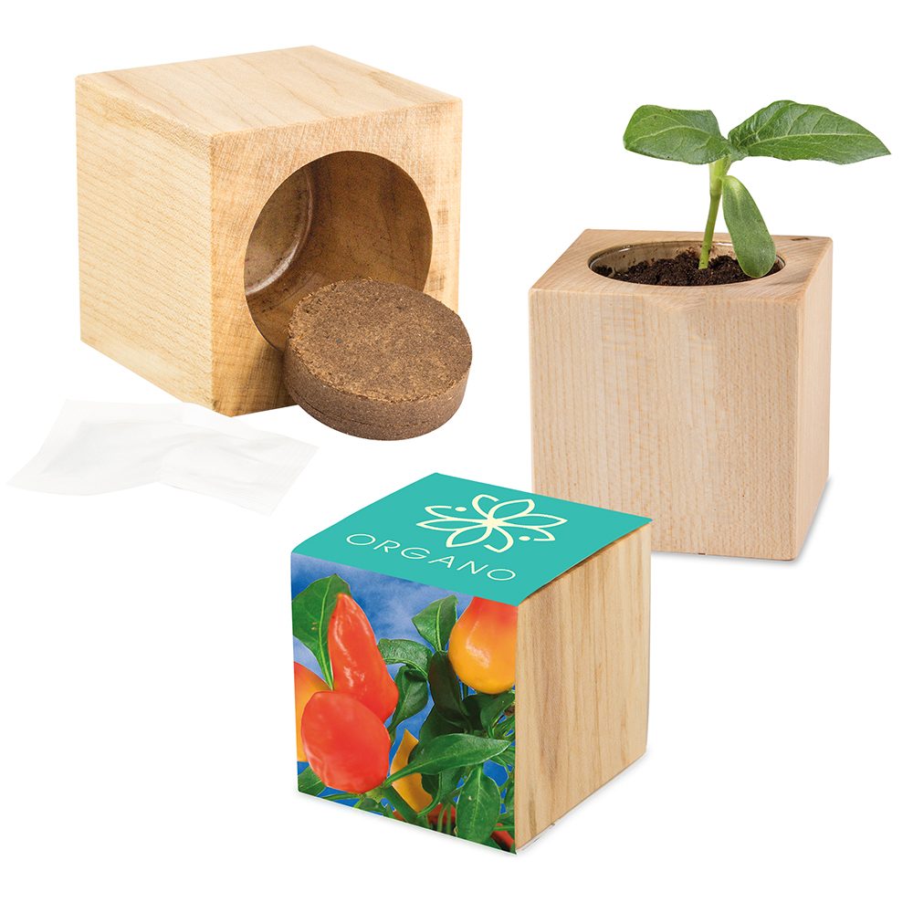 Pflanz-Holz Maxi mit Samen, Gewürzpaprika, 2 Seiten gelasert